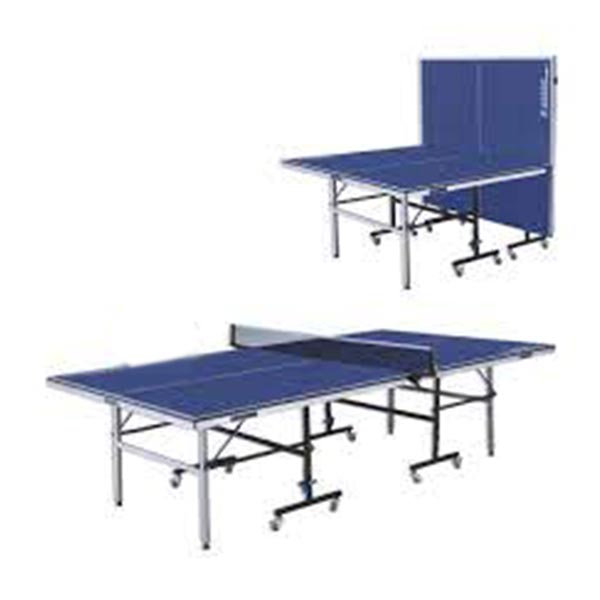 Giant Dragon Table Tennis Board, 6808